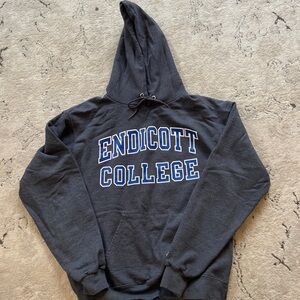 Endicott College Gray Hooded Sweatshirt